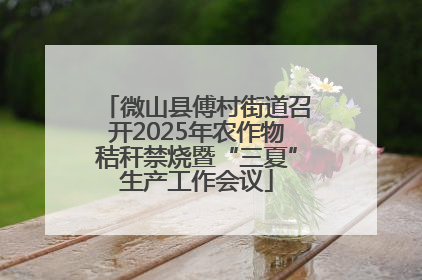 微山县傅村街道召开2025年农作物秸秆禁烧暨“三夏”生产工作会议