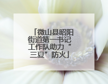 微山县昭阳街道第一书记工作队助力“三夏”防火