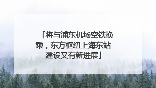 将与浦东机场空铁换乘，东方枢纽上海东站建设又有新进展
