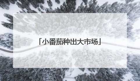 小番茄种出大市场