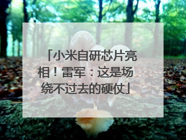 小米自研芯片亮相！雷军：这是场绕不过去的硬仗
