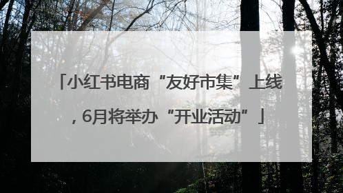 小红书电商“友好市集”上线，6月将举办“开业活动”
