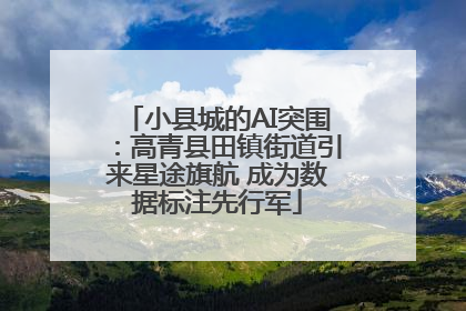 小县城的AI突围：高青县田镇街道引来星途旗航 成为数据标注先行军