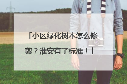 小区绿化树木怎么修剪？淮安有了标准！