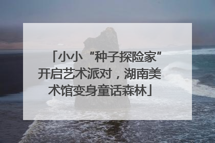 小小“种子探险家”开启艺术派对，湖南美术馆变身童话森林