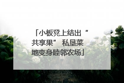 小板凳上结出“共享果” 私垦菜地变身睦邻农场