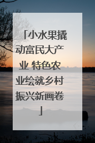 小水果撬动富民大产业 特色农业绘就乡村振兴新画卷