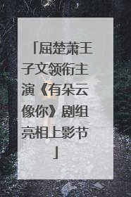 屈楚萧王子文领衔主演《有朵云像你》剧组亮相上影节