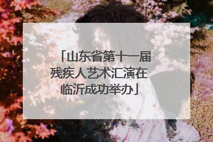山东省第十一届残疾人艺术汇演在临沂成功举办