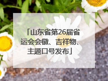 山东省第26届省运会会徽、吉祥物、主题口号发布