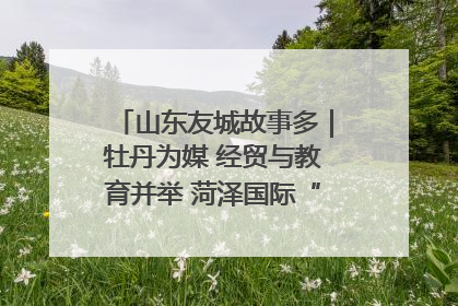 山东友城故事多｜牡丹为媒 经贸与教育并举 菏泽国际“朋友圈”扩容升级