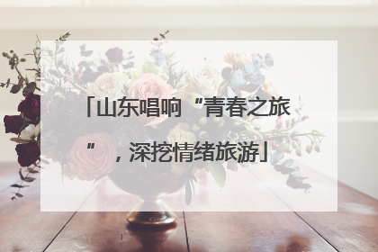 山东唱响“青春之旅”，深挖情绪旅游