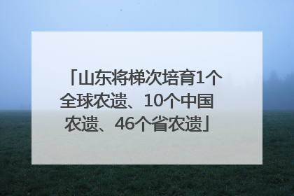 山东将梯次培育1个全球农遗、10个中国农遗、46个省农遗
