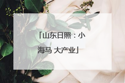 山东日照：小海马 大产业