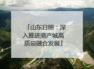 山东日照：深入推进港产城高质量融合发展