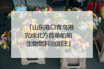 山东港口青岛港完成北方首单船舶生物燃料油加注
