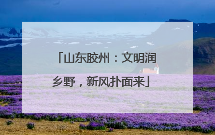 山东胶州：文明润乡野，新风扑面来