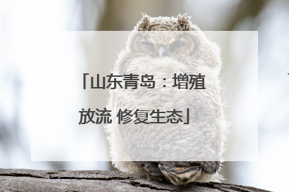 山东青岛：增殖放流 修复生态