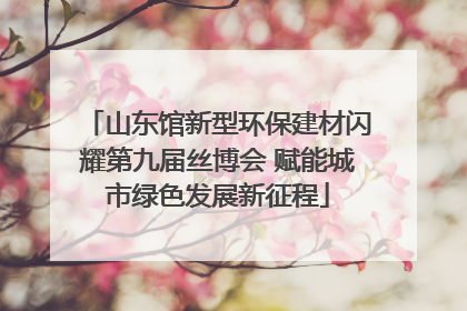 山东馆新型环保建材闪耀第九届丝博会 赋能城市绿色发展新征程