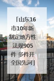 山东16市10年新制定地方性法规905件 多件开全国先河
