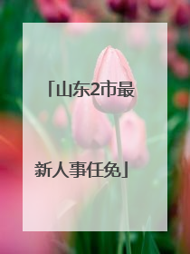 山东2市最新人事任免