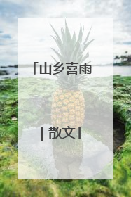 山乡喜雨｜散文
