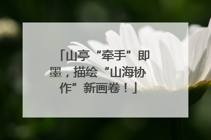 山亭“牵手”即墨，描绘“山海协作”新画卷！