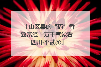 山区县的“药”香致富经丨万千气象看四川·平武③