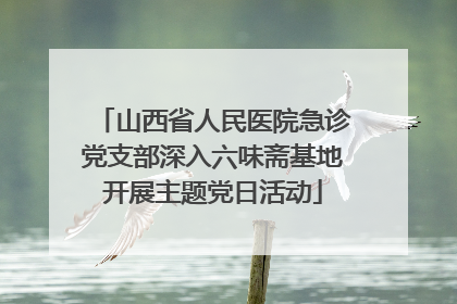 山西省人民医院急诊党支部深入六味斋基地开展主题党日活动