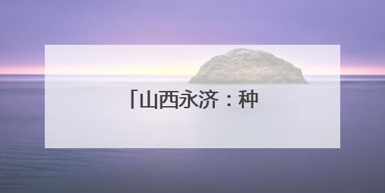 山西永济：种粮大户收获忙