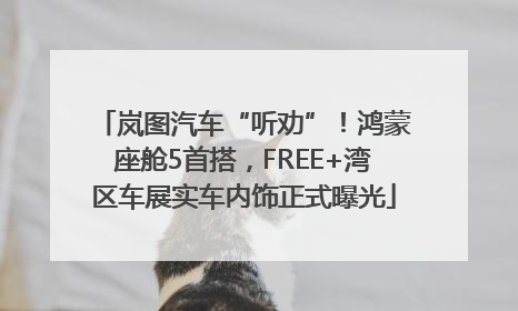 岚图汽车“听劝”！鸿蒙座舱5首搭，FREE+湾区车展实车内饰正式曝光