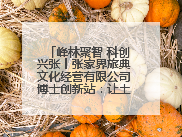峰林聚智 科创兴张丨张家界旅典文化经营有限公司博士创新站：让土家织锦“智”造出非遗新传奇