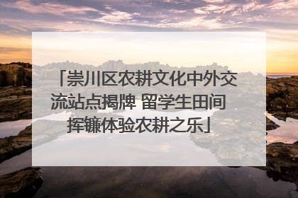 崇川区农耕文化中外交流站点揭牌 留学生田间挥镰体验农耕之乐