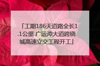 工期186天道路全长1.1公里 广运潭大道跨绕城高速立交工程开工