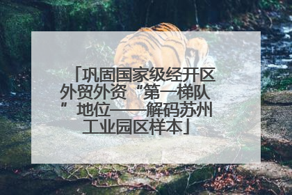 巩固国家级经开区外贸外资“第一梯队”地位——解码苏州工业园区样本