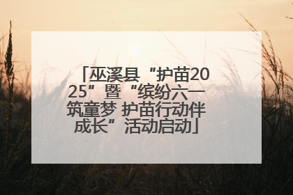 巫溪县“护苗2025”暨“缤纷六一筑童梦 护苗行动伴成长”活动启动