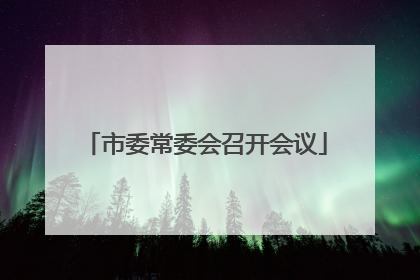 市委常委会召开会议