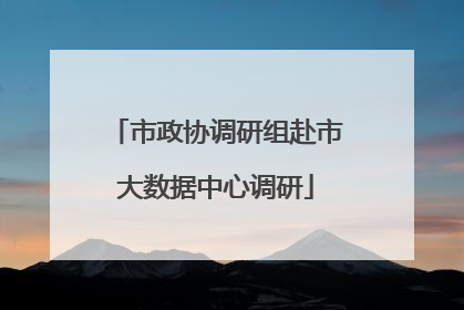 市政协调研组赴市大数据中心调研