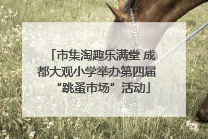 市集淘趣乐满堂 成都大观小学举办第四届“跳蚤市场”活动