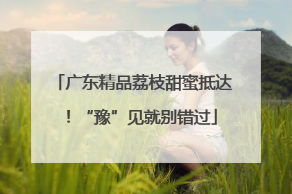广东精品荔枝甜蜜抵达！“豫”见就别错过