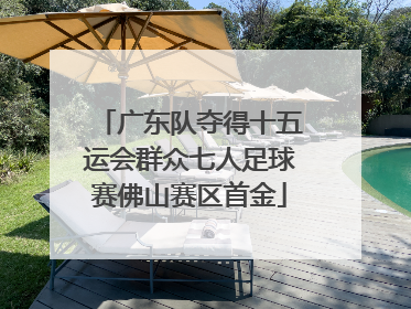 广东队夺得十五运会群众七人足球赛佛山赛区首金