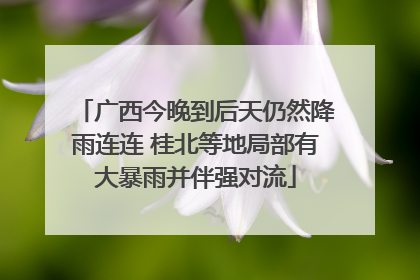 广西今晚到后天仍然降雨连连 桂北等地局部有大暴雨并伴强对流