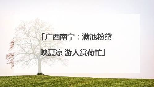 广西南宁：满池粉黛映夏凉 游人赏荷忙