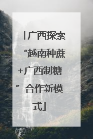 广西探索“越南种蔗+广西制糖”合作新模式