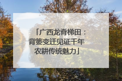 广西龙脊梯田：背篓变迁见证千年农耕传统魅力