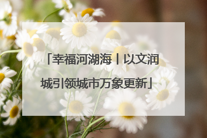 幸福河湖海丨以文润城引领城市万象更新