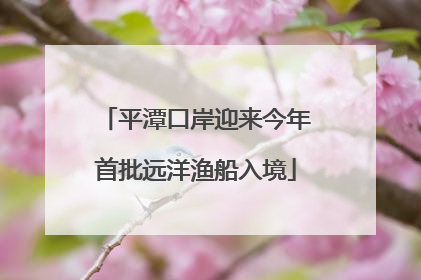 平潭口岸迎来今年首批远洋渔船入境