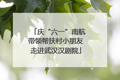 庆“六一”南航带领帮扶村小朋友走进武汉汉剧院