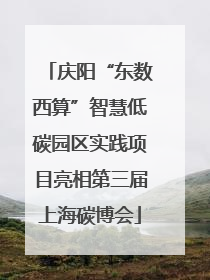 庆阳“东数西算”智慧低碳园区实践项目亮相第三届上海碳博会