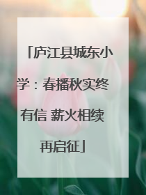 庐江县城东小学：春播秋实终有信 薪火相续再启征